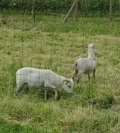 Διαμέρισμα - Spokojne Miejsce Z Calorocznym Zewnetrznym Wspolnym Jacuzzi, Sauna I Letnim Basenem *