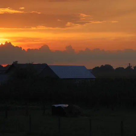 - Spokojne Miejsce Z Calorocznym Zewnetrznym Wspolnym Jacuzzi, Sauna I Letnim Basenem Wilga