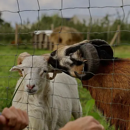 - Spokojne Miejsce Z Calorocznym Zewnetrznym Wspolnym Jacuzzi, Sauna I Letnim Basenem Διαμέρισμα *