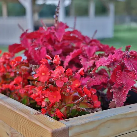 Διαμέρισμα - Spokojne Miejsce Z Calorocznym Zewnetrznym Wspolnym Jacuzzi, Sauna I Letnim Basenem