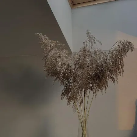 - Spokojne Miejsce Z Calorocznym Zewnetrznym Wspolnym Jacuzzi, Sauna I Letnim Basenem *